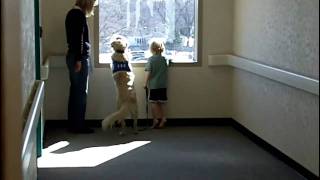 Pets aid pediatric therapy patients