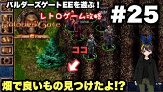 【レトロ CRPG】バルダーズ・ゲート：EE #25 イービルキャラが名声で離脱するのを防ぐ方法！！ ＃レトロゲーム