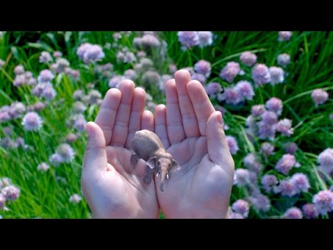 REVOLUŢIE tehnologică! Google investeşte în A PATRA DIMENSIUNE, realitatea augumentată (VIDEO)