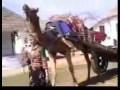 Sindhi Song Waj Nagara YouTube Flv01