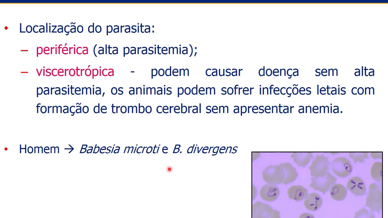 Aula 05 - Babesiose e Babesia spp  (Parte I)