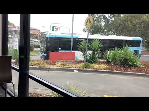 Transit Systems 1288 Volvo B7R Custom Coaches CB80 804 To Parramatta 