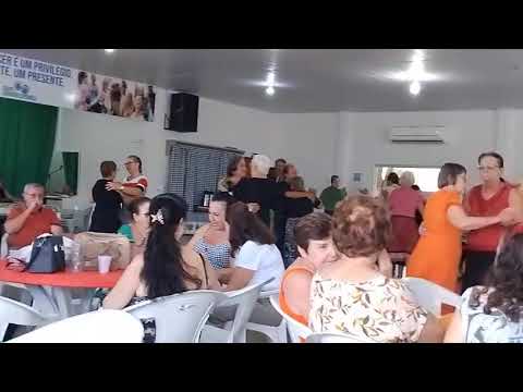 CANARANA MATO GROSSO 