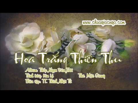 03. Hoa Trắng thiên thu