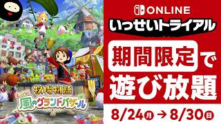 【いっせいトライアル #2】「牧物」シリーズ最新作を遊んでみる！【牧場物語 Let's！風のグランドバザール】