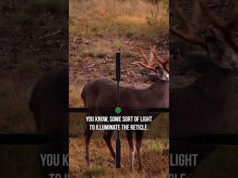 TRIJICON HUNTING SCOPE REVIEW