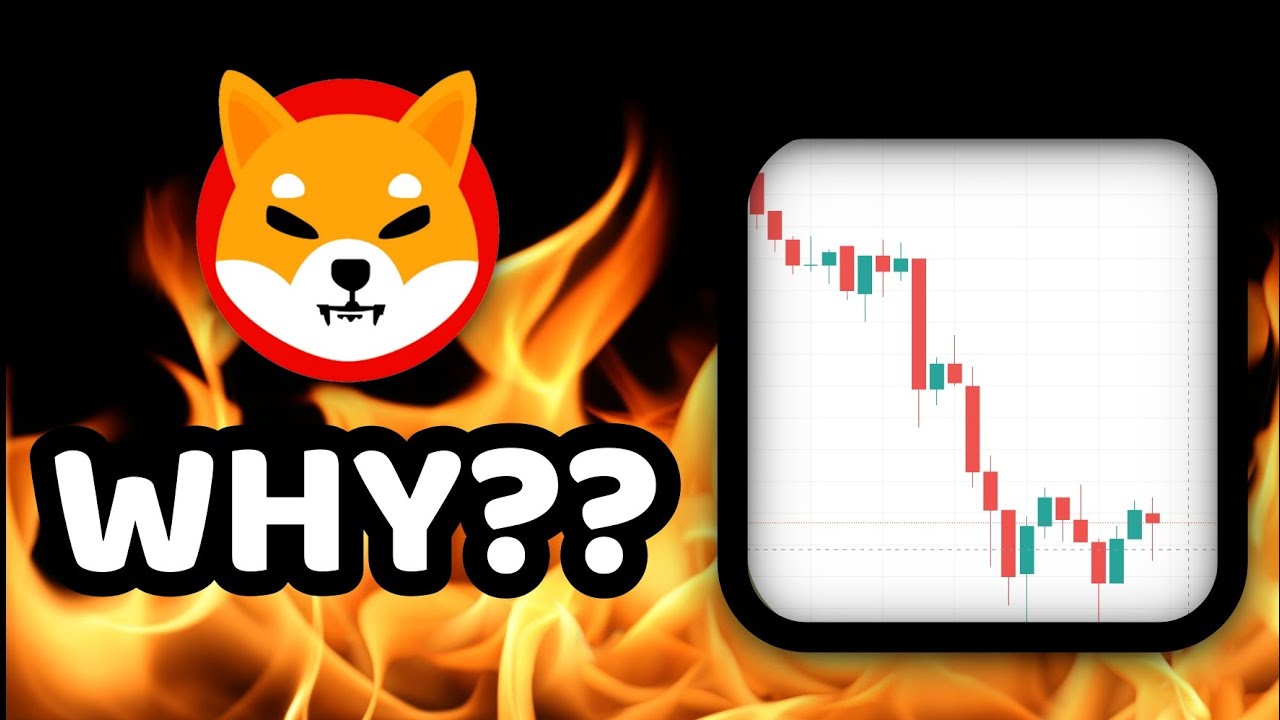 SHIBA INU COIN JUST SUDDENLY DROPPED – Strings Being Pulled