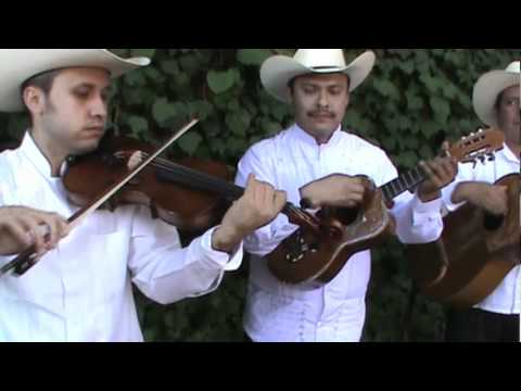 Trío Guardianes de la Huasteca - El Cielito Lindo