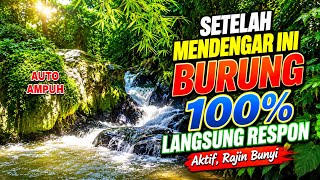 Download lagu Terapi Alam Bebas Paling Menenangkan, Burung Cepat Respons dan Aktif Rajin Bunyi mp3 Download lagu Terapi Alam Bebas Paling Menenangkan, Burung Cepat Respons dan Aktif Rajin Bunyi mp3