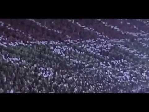 Brasileirão 2014: #AindaMaisFortes