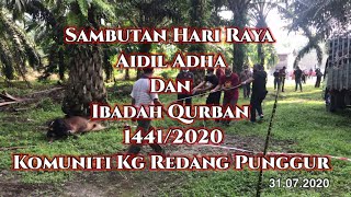 Ibadah Qurban || Aidil Adha || Komuniti || Kg. Redang Punggur || Perak || 2020 || 1441