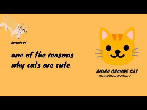 one of the reasons why cats are cute