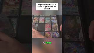 Le classeur Pokémon le plus dangereux de France/Tyranobox