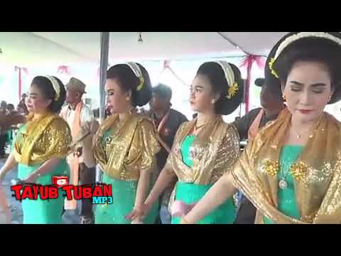 SEDEKAH BUMI Dsn.MOJO, Ds.NGADIREJO #tayub #tayubtubannyipipit #mirawati 