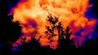 Download lagu AL FATIHAH, AYAT KURSI, AL IKHLAS, AL FALAQ, AN NAS RUQYAH PENGUSIR JIN DALAM TUBUH, RUMAH DAN USAHA mp3