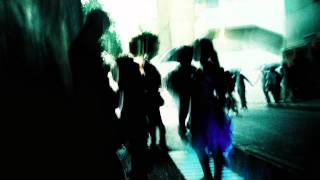 TREMBLING BLUE STARS. Letter Never Sent.