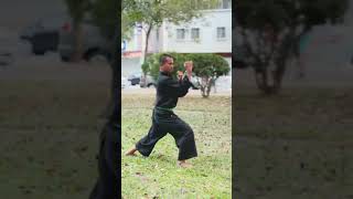 Download lagu Solospel Siswa Hijau PSHT #shorts mp3 Download lagu Solospel Siswa Hijau PSHT #shorts mp3