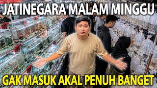 Download lagu SIDAK PASAR IKAN JATINEGARA MALAM MINGGU! GAK MASUK AKAL SEPENUH INI! KOLEKSI TERBAIK KELUAR! mp3 Download lagu SIDAK PASAR IKAN JATINEGARA MALAM MINGGU! GAK MASUK AKAL SEPENUH INI! KOLEKSI TERBAIK KELUAR! mp3