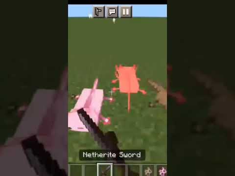 Insane Minecraft Animal Sounds!