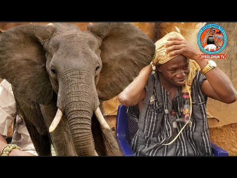 OGBOJU ODE // MO PADE IWIN (GENUS) MORI TO TAN INA SI MI LOOKAN, MO NTO EBORA (A SPIRIT) NAA LO...