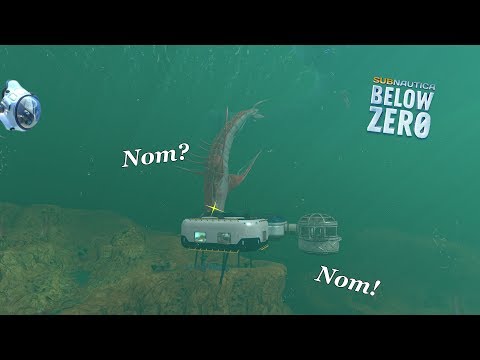 Will The Chelicerate Attack an Base? Subnautica: Below Zero