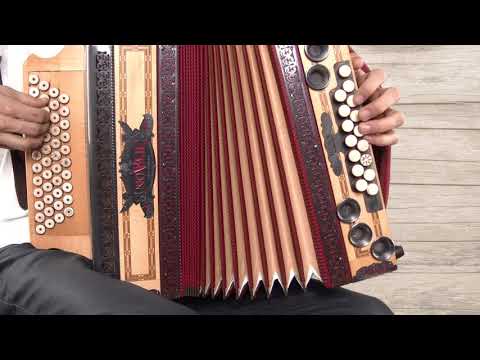 Ziachfuchs  ,,Am Schlossbrunnbankerl   Walzer''