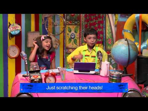 The Children's Scrappy News Service - Trailer