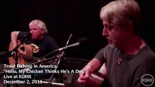 Trout Fishing In America &quot;Hello, My Chicken Thinks He&#39;s A Dog&quot; Live at KDHX 12/02/2011 (HD)