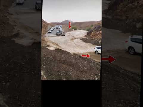 Sao đoàn xe lại chủ quan thế nhỉ? Quá liều mạng!