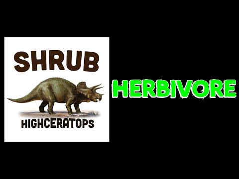 Herbivore (Shrub lyric video)