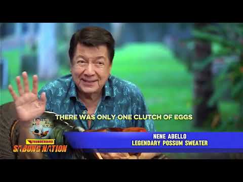 Nene Abello possum sweater