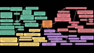 the lion sleeps tonight cover