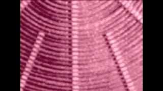 Tesla - They Might Be Giants (official song and video)