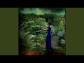 The Serpent Mound (Instrumental Remix)