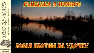 Ловля плотвы в конце ноября