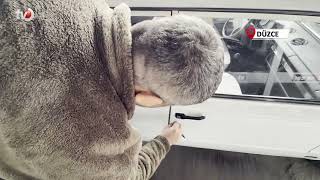 Çocukluk Hayalini 31 Yıl Sonra Gerçekleştirdi