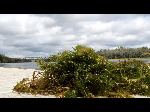 Connecticut River Project