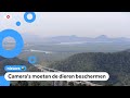 Dit Braziliaanse regenwoud is bijna helemaal gekapt