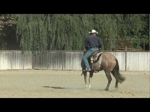 MR SUN BARON: Monty Roberts Willing Partners