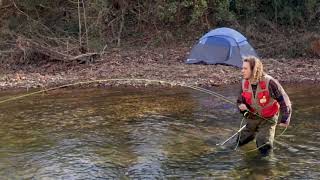 Josh Halper – “Honest Feeling”