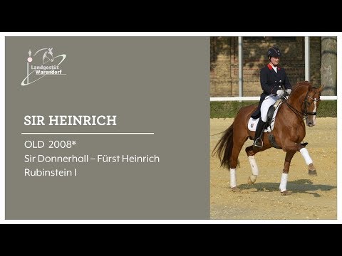SIR HEINRICH 2018
