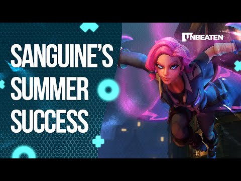 Paladins Pro Circuit 2020 Summer finals recap