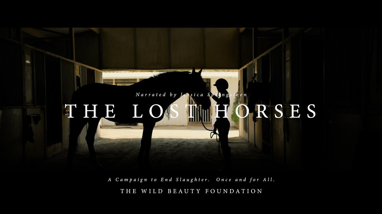 The Lost Horses: 