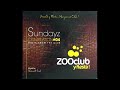 Zoo Club Sundayz Vol 4 Music From The Club 2008