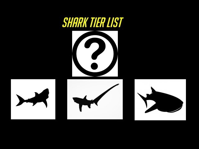The Shark Tier List