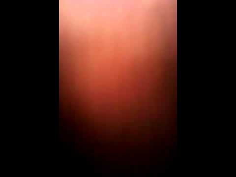 Humoristet e gostivarit drejtori new