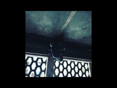 CKS - Zło (Prod. gi8ooon)