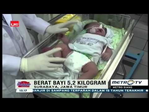 Baik kehilangan Kornelyuk Mengumpulkan herbal untuk menurunkan berat badan