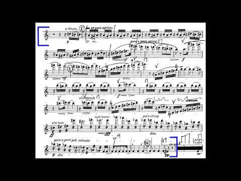 [Learn] Texas All-State Death and Transfiguration TMEA's Excerpt 2 (2020)