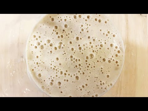 Att starta en surdeg